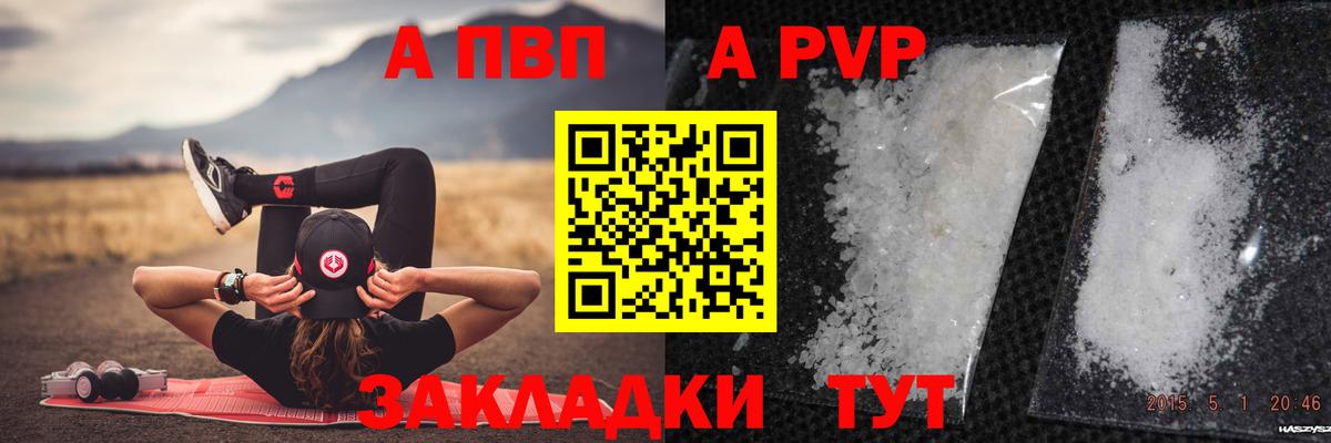 Alfa_PVP СК КРИС Анапа